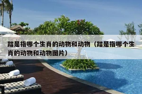 踏是指哪个生肖的动物和动物（踏是指哪个生肖的动物和动物图片）