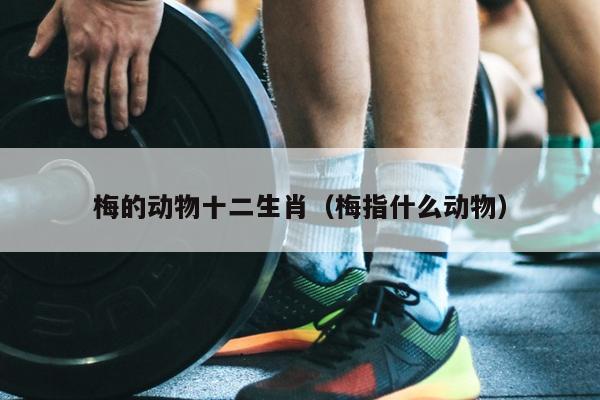 梅的动物十二生肖（梅指什么动物）