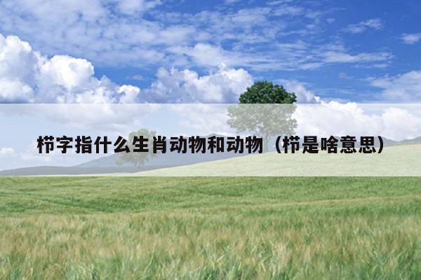 栉字指什么生肖动物和动物（栉是啥意思）