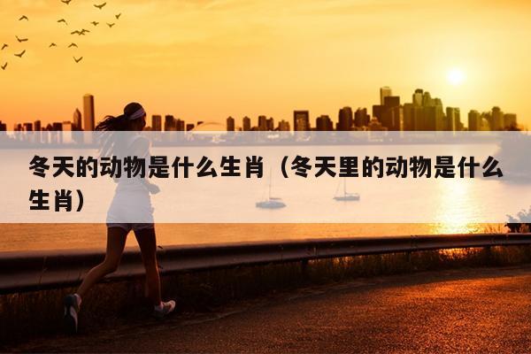 冬天的动物是什么生肖（冬天里的动物是什么生肖）