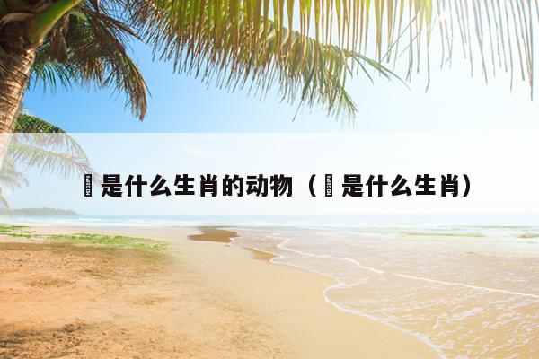 矦是什么生肖的动物（暿是什么生肖）
