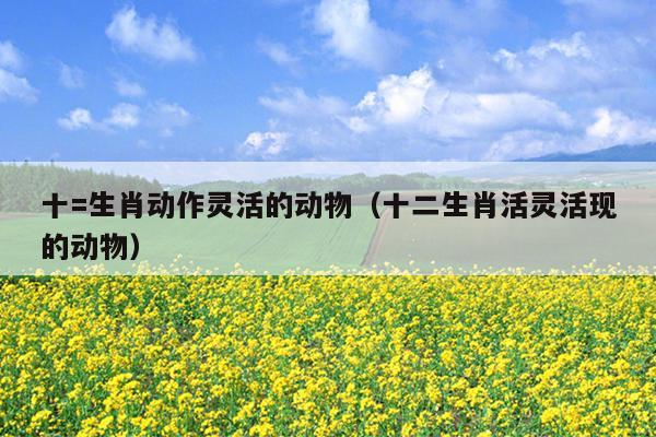 十=生肖动作灵活的动物（十二生肖活灵活现的动物）