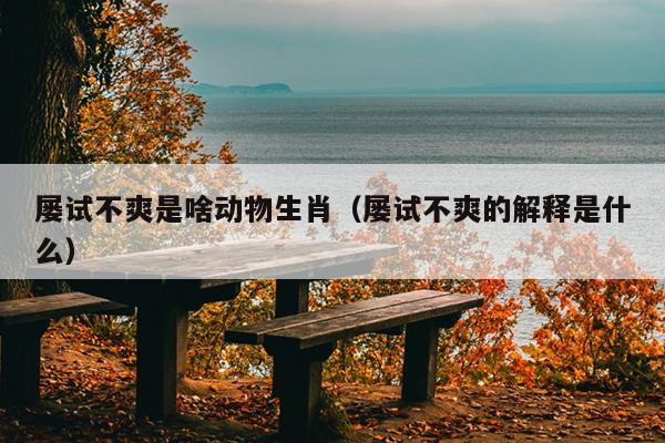 屡试不爽是啥动物生肖（屡试不爽的解释是什么）