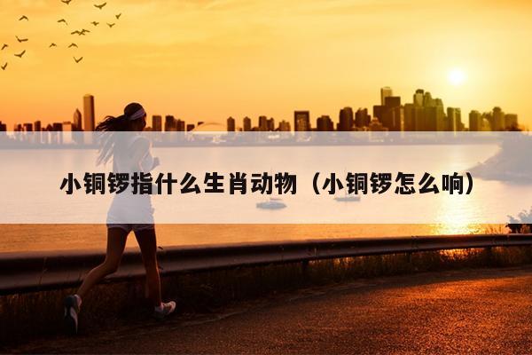 小铜锣指什么生肖动物（小铜锣怎么响）