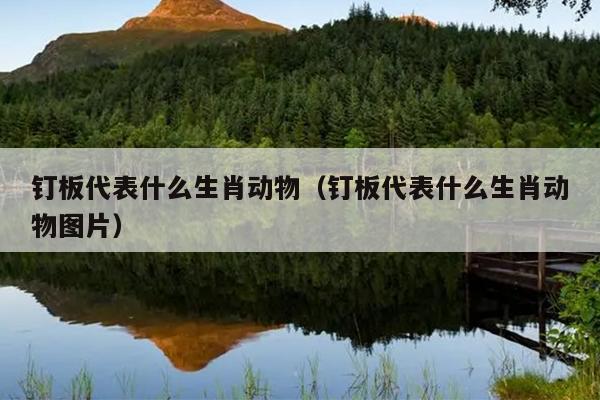钉板代表什么生肖动物（钉板代表什么生肖动物图片）