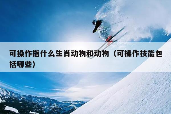 可操作指什么生肖动物和动物（可操作技能包括哪些）