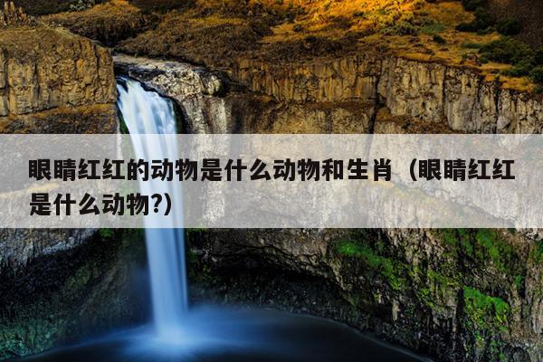 眼睛红红的动物是什么动物和生肖（眼睛红红是什么动物?）