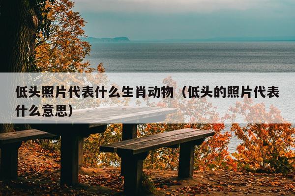 低头照片代表什么生肖动物（低头的照片代表什么意思）