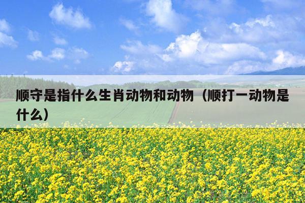 顺守是指什么生肖动物和动物（顺打一动物是什么）