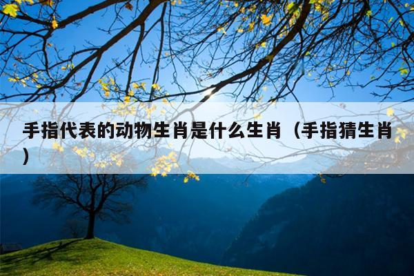 手指代表的动物生肖是什么生肖（手指猜生肖）