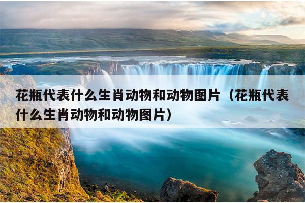 花瓶代表什么生肖动物和动物图片（花瓶代表什么生肖动物和动物图片）