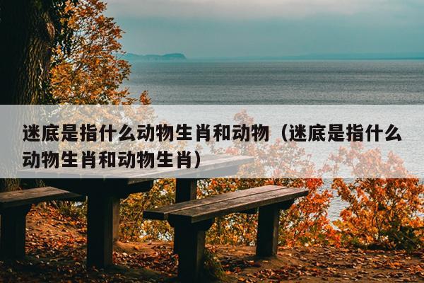 迷底是指什么动物生肖和动物（迷底是指什么动物生肖和动物生肖）