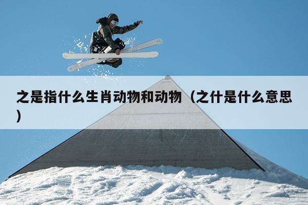 之是指什么生肖动物和动物（之什是什么意思）