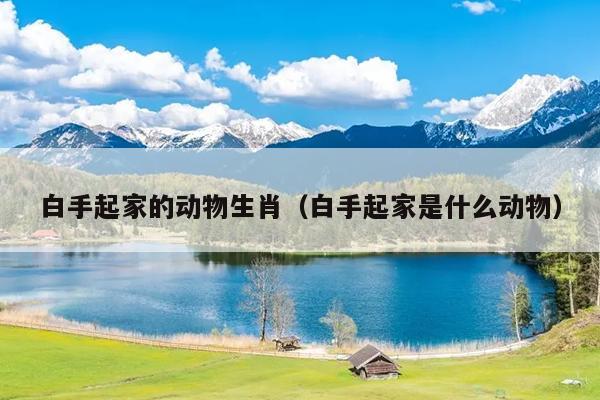 白手起家的动物生肖（白手起家是什么动物）
