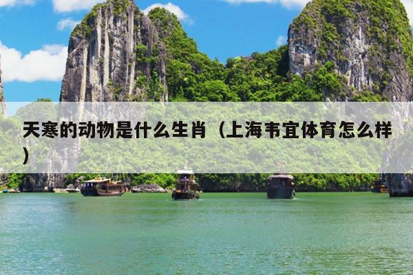天寒的动物是什么生肖（上海韦宜体育怎么样）