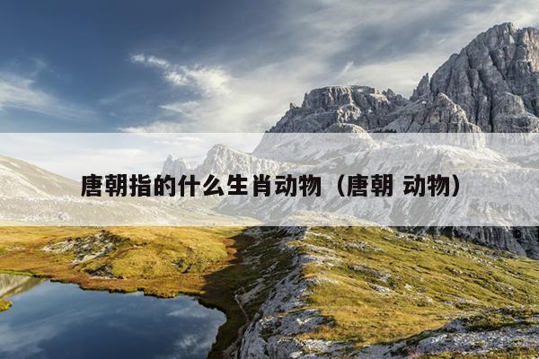 唐朝指的什么生肖动物（唐朝 动物）