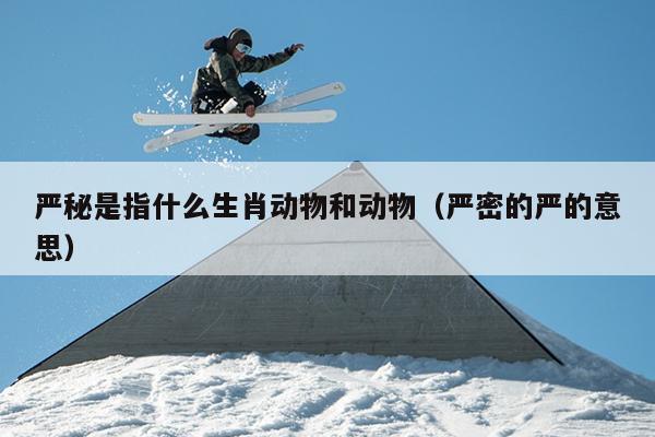 严秘是指什么生肖动物和动物（严密的严的意思）