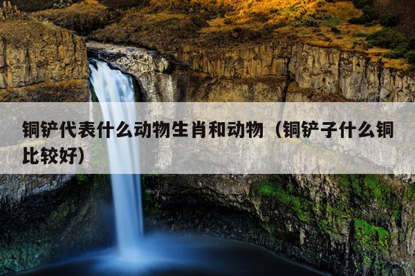 铜铲代表什么动物生肖和动物（铜铲子什么铜比较好）