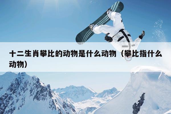 十二生肖攀比的动物是什么动物（攀比指什么动物）