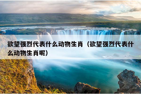 欲望强烈代表什么动物生肖（欲望强烈代表什么动物生肖呢）