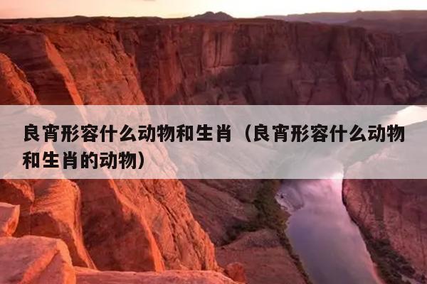 良宵形容什么动物和生肖（良宵形容什么动物和生肖的动物）