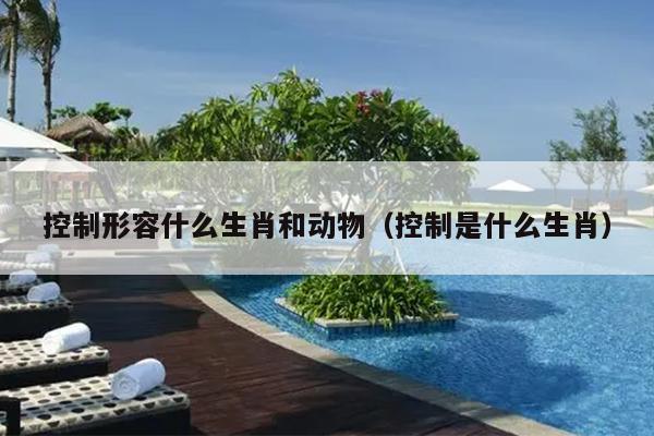 控制形容什么生肖和动物（控制是什么生肖）