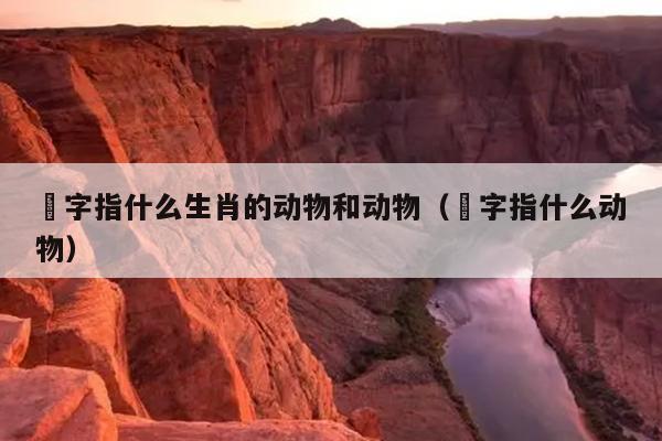 螥字指什么生肖的动物和动物（豨字指什么动物）