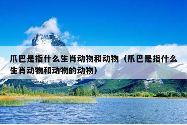 爪巴是指什么生肖动物和动物（爪巴是指什么生肖动物和动物的动物）