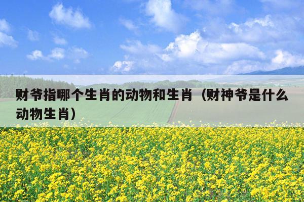 财爷指哪个生肖的动物和生肖（财神爷是什么动物生肖）