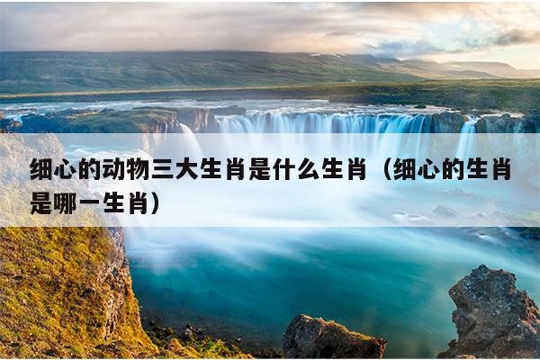 细心的动物三大生肖是什么生肖（细心的生肖是哪一生肖）
