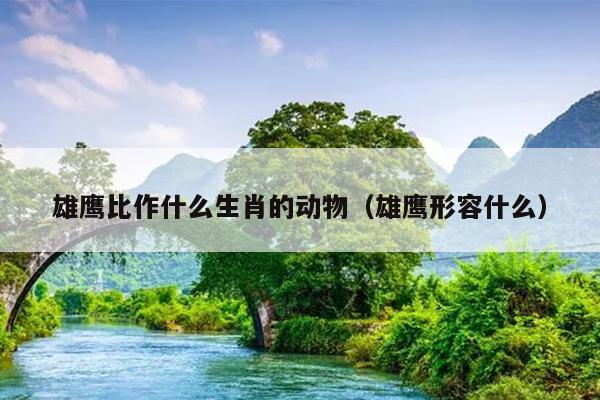 雄鹰比作什么生肖的动物（雄鹰形容什么）