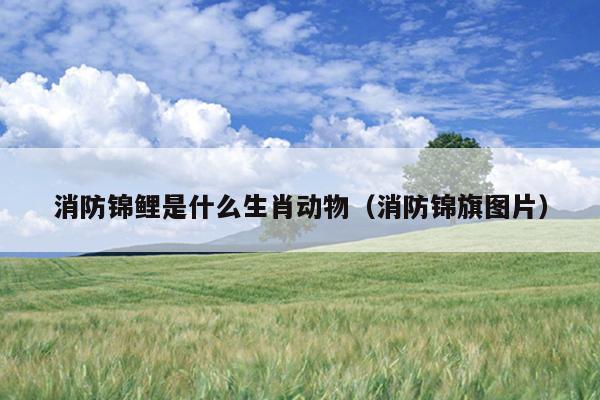 消防锦鲤是什么生肖动物（消防锦旗图片）