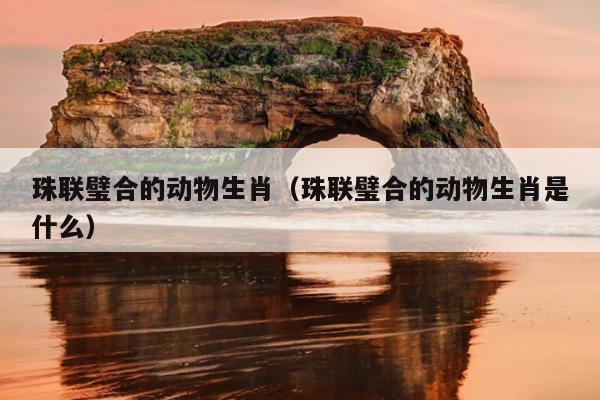珠联璧合的动物生肖（珠联璧合的动物生肖是什么）