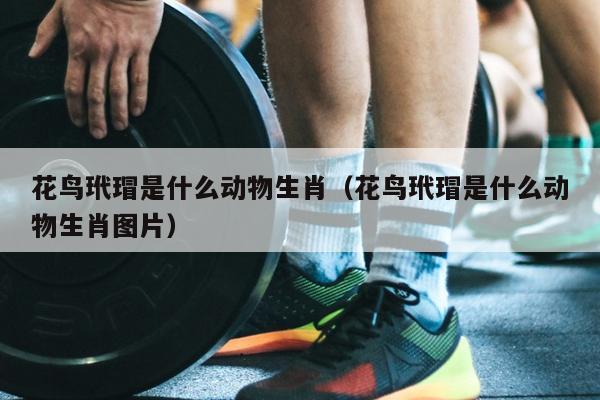 花鸟玳瑁是什么动物生肖（花鸟玳瑁是什么动物生肖图片）