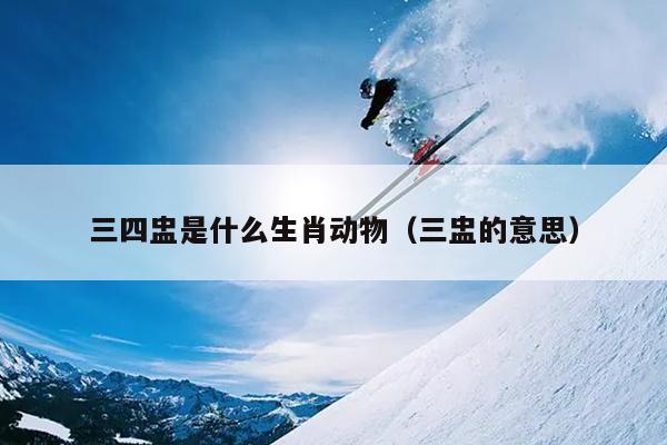 三四盅是什么生肖动物（三盅的意思）