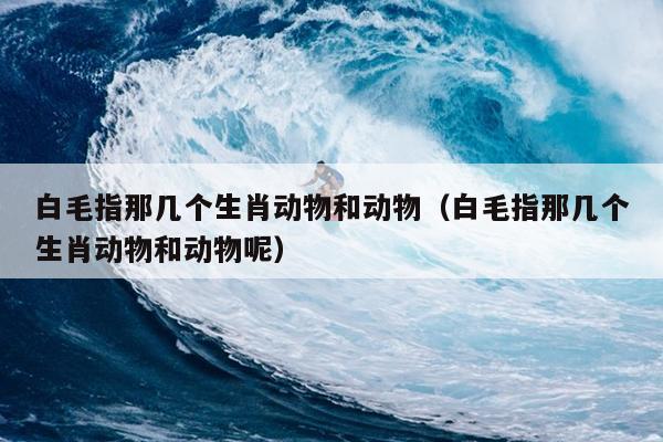 白毛指那几个生肖动物和动物（白毛指那几个生肖动物和动物呢）
