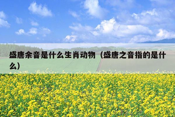 盛唐余音是什么生肖动物（盛唐之音指的是什么）
