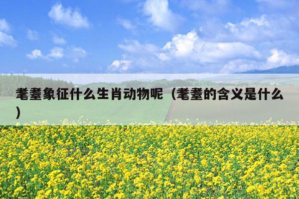 耄耋象征什么生肖动物呢（耄耋的含义是什么）