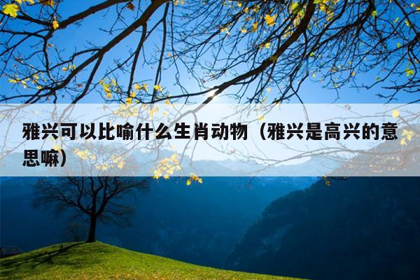 雅兴可以比喻什么生肖动物（雅兴是高兴的意思嘛）