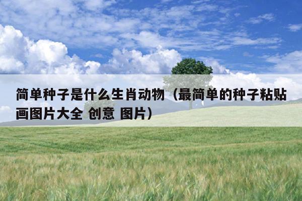简单种子是什么生肖动物（最简单的种子粘贴画图片大全 创意 图片）