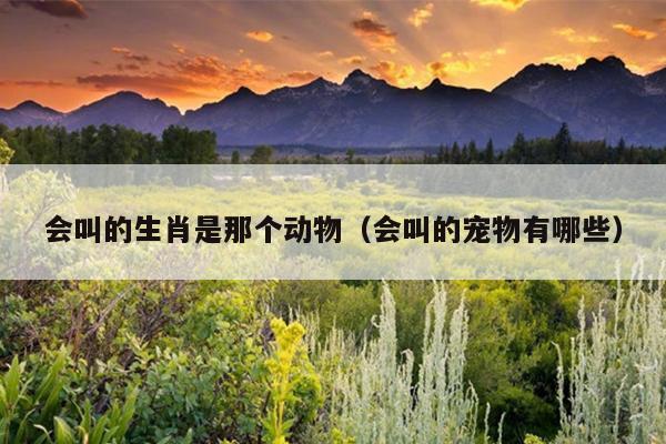 会叫的生肖是那个动物（会叫的宠物有哪些）