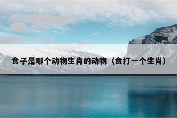 食子是哪个动物生肖的动物（食打一个生肖）