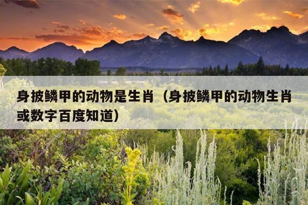 身披鳞甲的动物是生肖（身披鳞甲的动物生肖或数字百度知道）