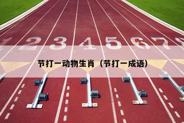 节打一动物生肖（节打一成语）