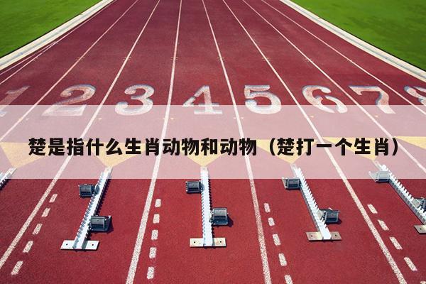 楚是指什么生肖动物和动物（楚打一个生肖）