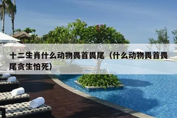 十二生肖什么动物畏首畏尾（什么动物畏首畏尾贪生怕死）