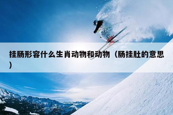 挂肠形容什么生肖动物和动物（肠挂肚的意思）