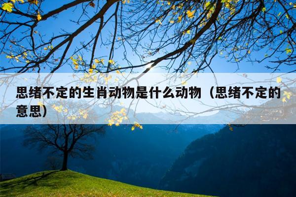 思绪不定的生肖动物是什么动物（思绪不定的意思）