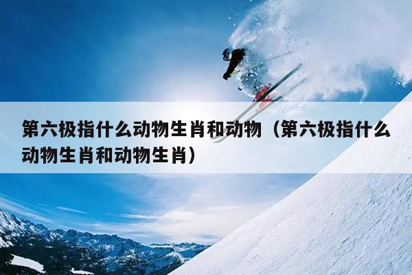 第六极指什么动物生肖和动物（第六极指什么动物生肖和动物生肖）