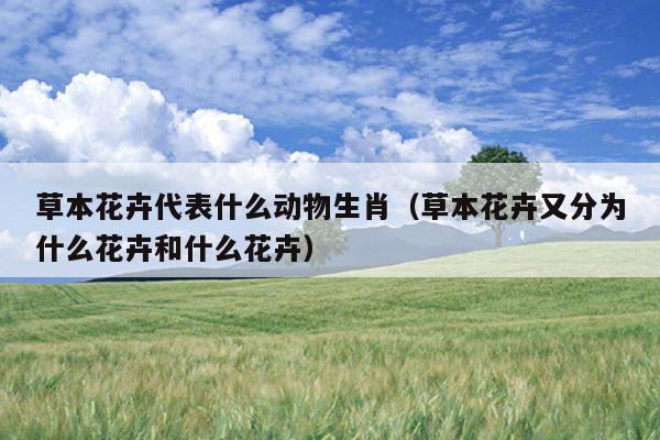 草本花卉代表什么动物生肖（草本花卉又分为什么花卉和什么花卉）